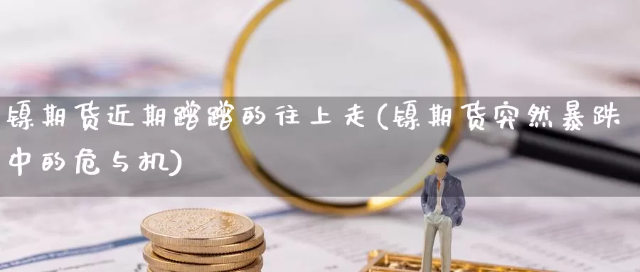 镍期货近期蹭蹭的往上走(镍期货突然暴跌中的危与机)_https://www.xiaoshou99.com_国际期货_第1张