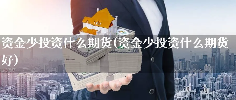 资金少投资什么期货(资金少投资什么期货好)_https://www.xiaoshou99.com_国际期货_第1张