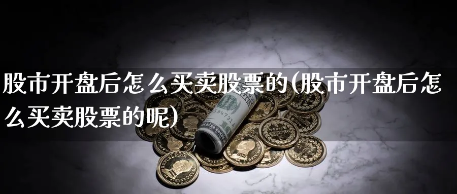 股市开盘后怎么买卖股票的(股市开盘后怎么买卖股票的呢)_https://www.xiaoshou99.com_内盘期货_第1张