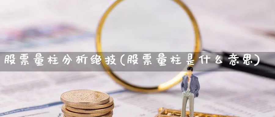 股票量柱分析绝技(股票量柱是什么意思)_https://www.xiaoshou99.com_期货百科_第1张